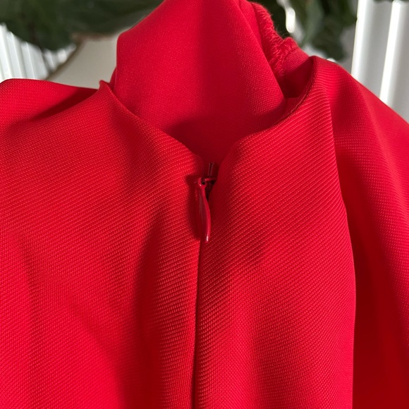 Zac Posen gown - Picture 8 of 8